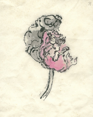 Berger tulip
