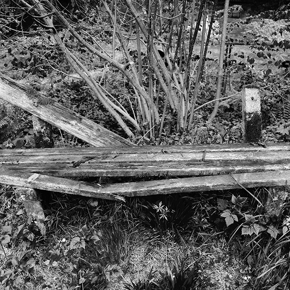 Holfelder: �33 Stuhlleben� 3